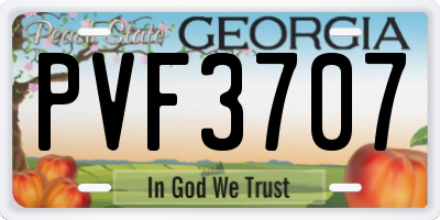 GA license plate PVF3707