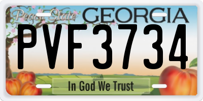 GA license plate PVF3734