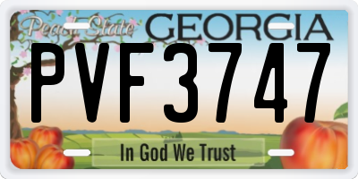 GA license plate PVF3747
