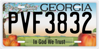 GA license plate PVF3832