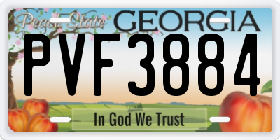 GA license plate PVF3884