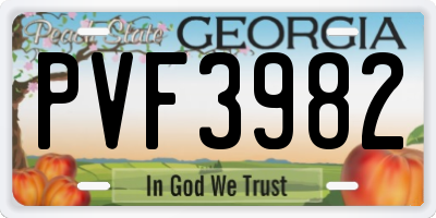 GA license plate PVF3982