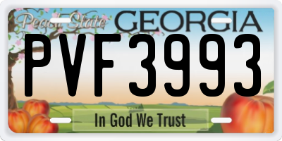 GA license plate PVF3993