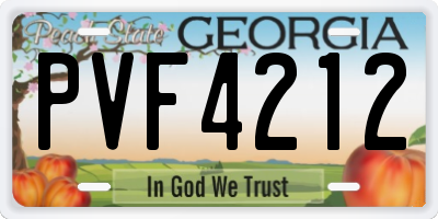 GA license plate PVF4212