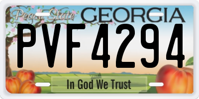 GA license plate PVF4294