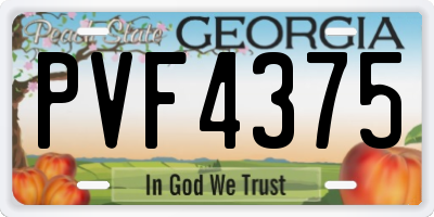 GA license plate PVF4375
