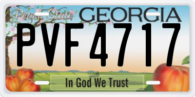 GA license plate PVF4717
