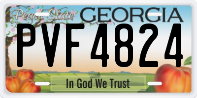 GA license plate PVF4824