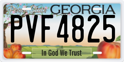 GA license plate PVF4825