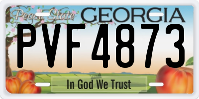 GA license plate PVF4873