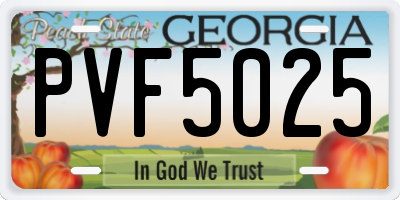 GA license plate PVF5025