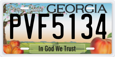 GA license plate PVF5134