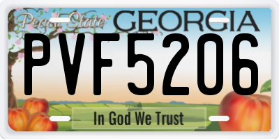 GA license plate PVF5206