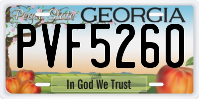 GA license plate PVF5260
