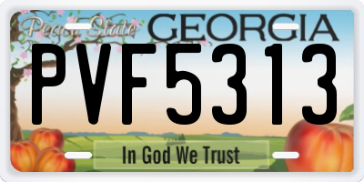 GA license plate PVF5313