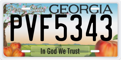 GA license plate PVF5343
