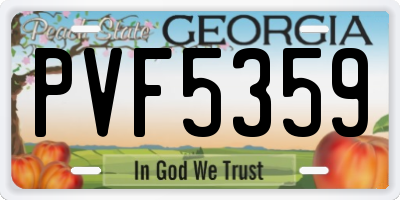 GA license plate PVF5359