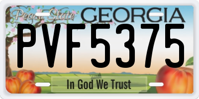 GA license plate PVF5375