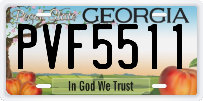 GA license plate PVF5511