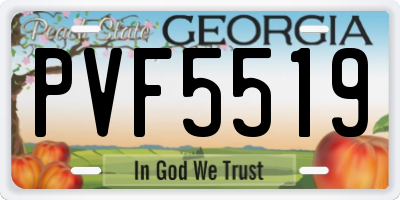 GA license plate PVF5519