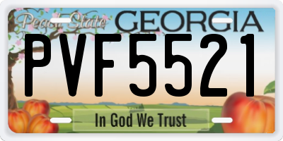 GA license plate PVF5521