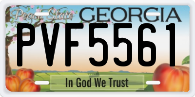 GA license plate PVF5561
