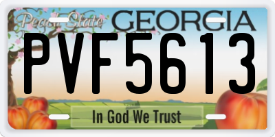 GA license plate PVF5613