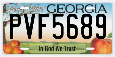 GA license plate PVF5689