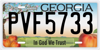 GA license plate PVF5733