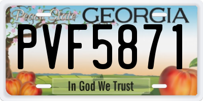 GA license plate PVF5871