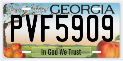 GA license plate PVF5909