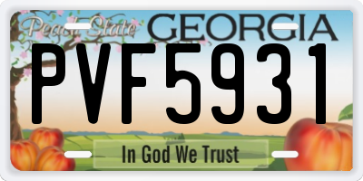 GA license plate PVF5931