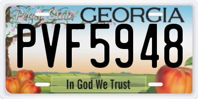 GA license plate PVF5948