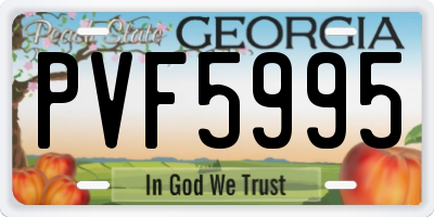 GA license plate PVF5995