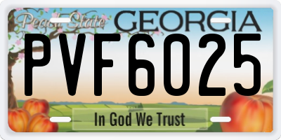 GA license plate PVF6025