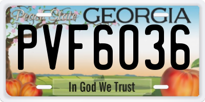 GA license plate PVF6036