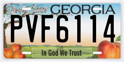 GA license plate PVF6114