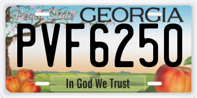 GA license plate PVF6250