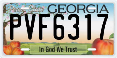 GA license plate PVF6317