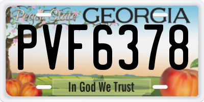 GA license plate PVF6378