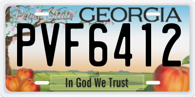 GA license plate PVF6412