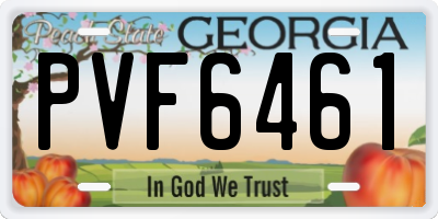 GA license plate PVF6461