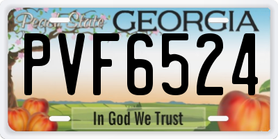 GA license plate PVF6524