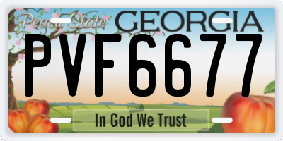 GA license plate PVF6677