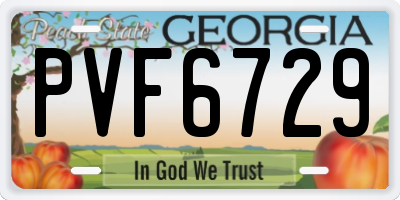 GA license plate PVF6729