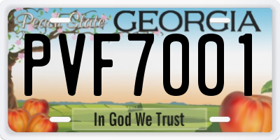 GA license plate PVF7001