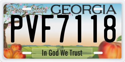 GA license plate PVF7118