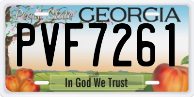 GA license plate PVF7261