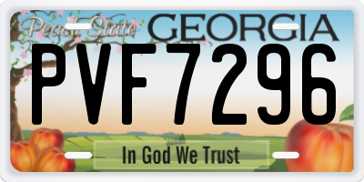GA license plate PVF7296