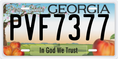 GA license plate PVF7377